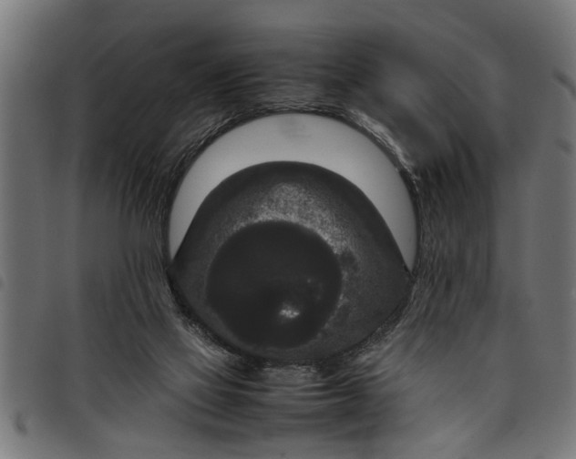 X0000097800069200803281044