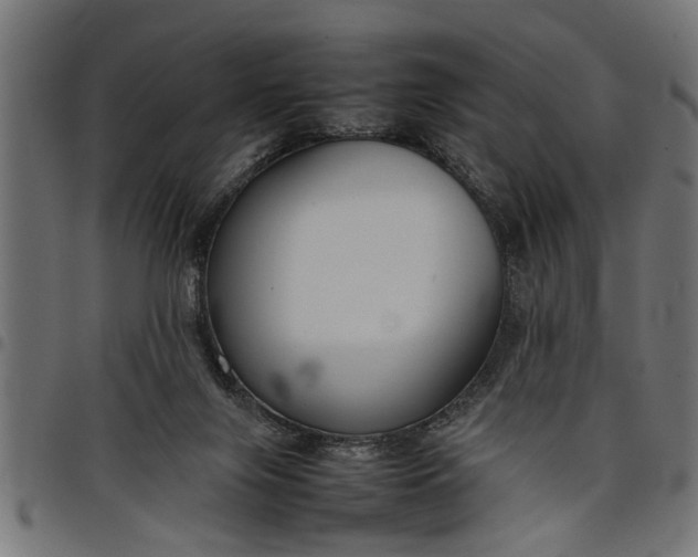 X0000097800071200803281044