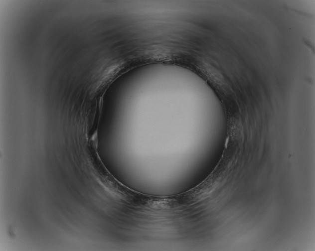 X0000097800072200803281044