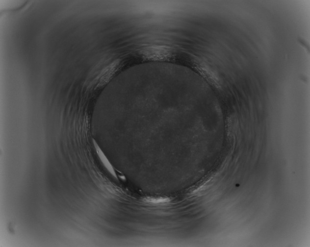 X0000097800073200803281044