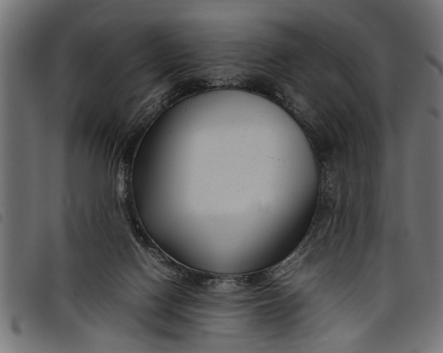 X0000097800074200803281044