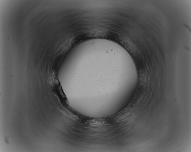 X0000097800077200803281044