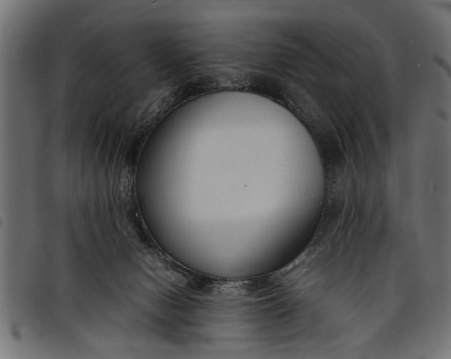 X0000097800078200803281044