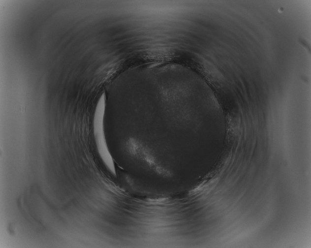 X0000097800080200803281044