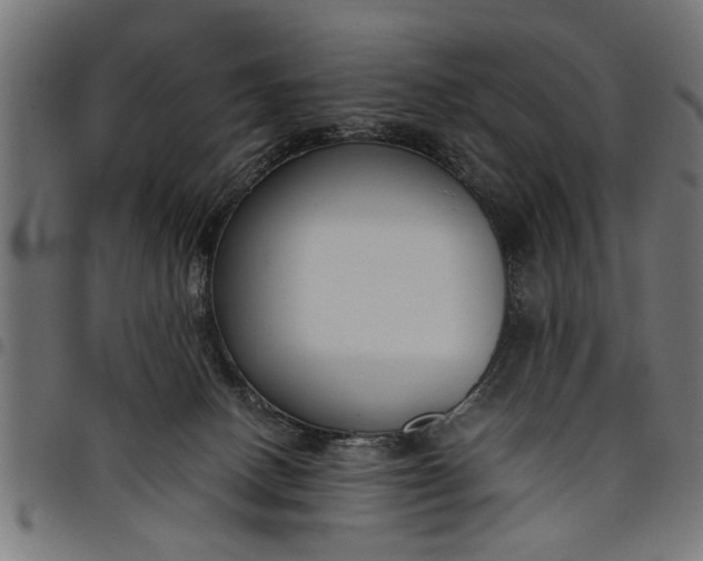 X0000097800082200803281044