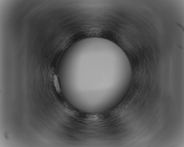 X0000097800083200803281044