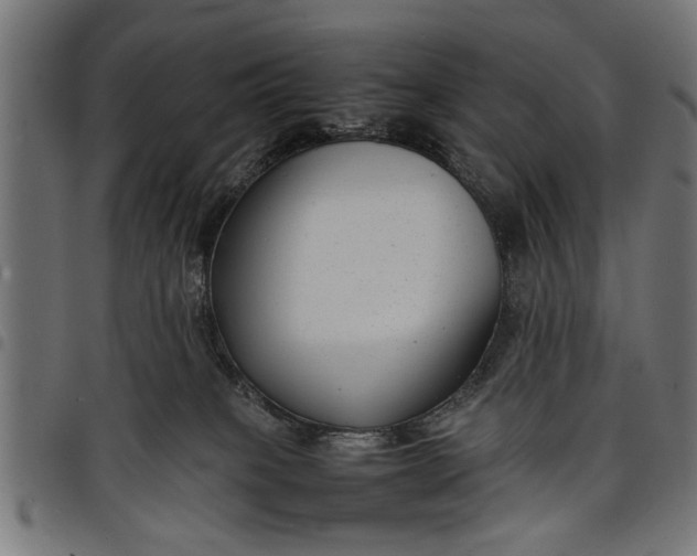 X0000097800085200803281045