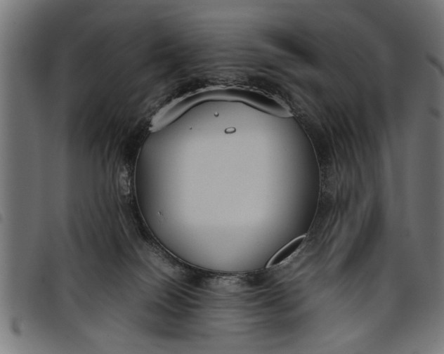 X0000097800086200803281045