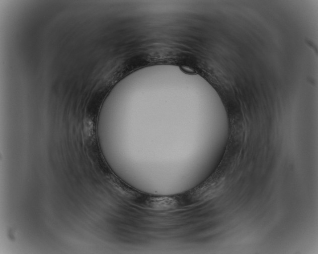 X0000097800087200803281045