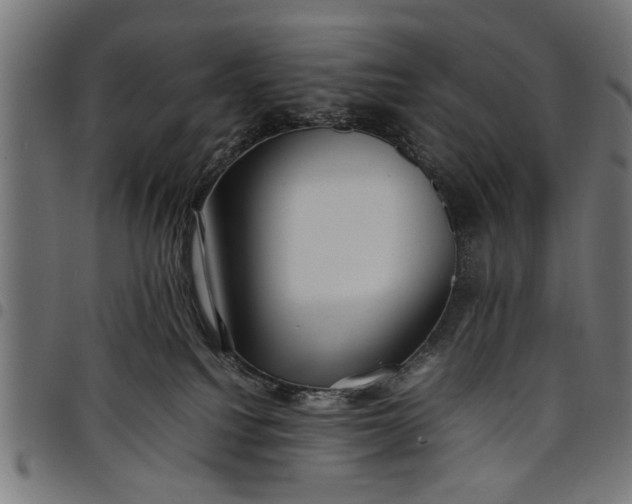 X0000097800088200803281045