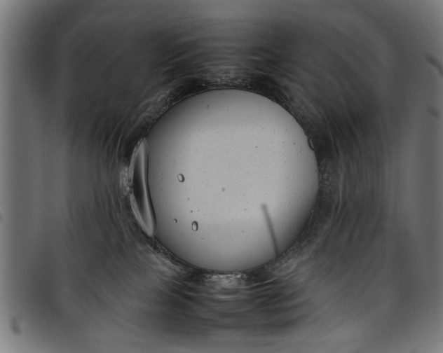 X0000097800089200803281045