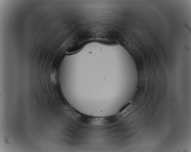 X0000097800090200803281045