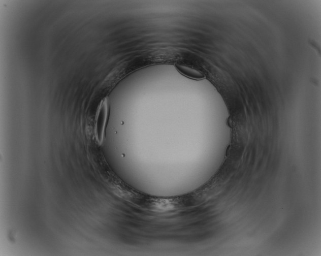 X0000097800091200803281045