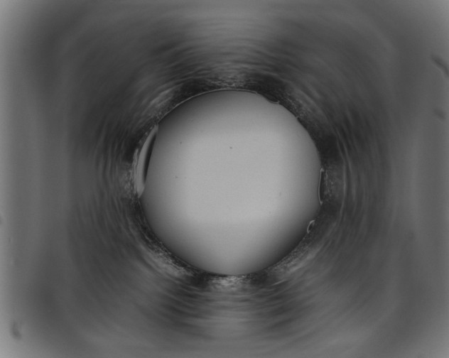 X0000097800092200803281045