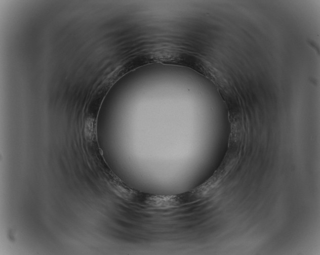 X0000097800093200803281045