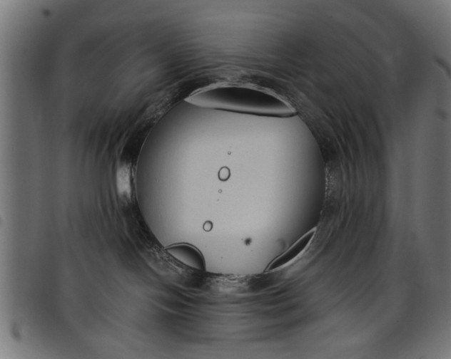 X0000097800094200803281045