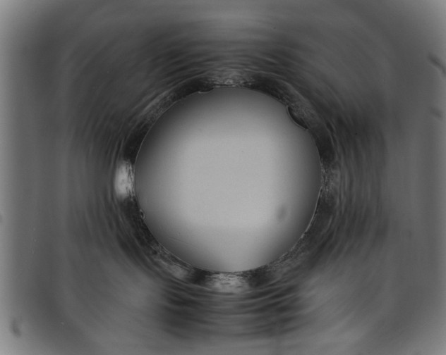 X0000097800095200803281045