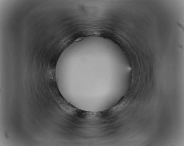 X0000097800096200803281045