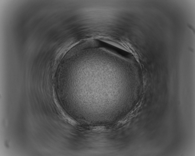 X0000097800097200803281044