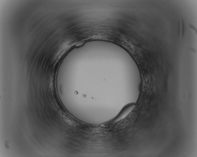 X0000097800098200803281044