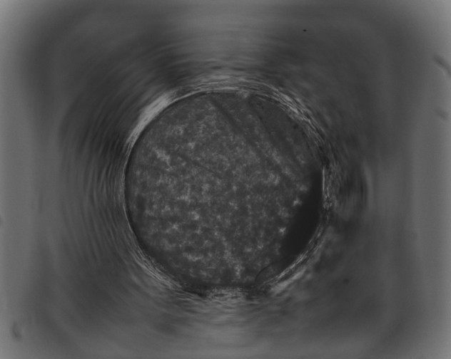 X0000097800099200803281044