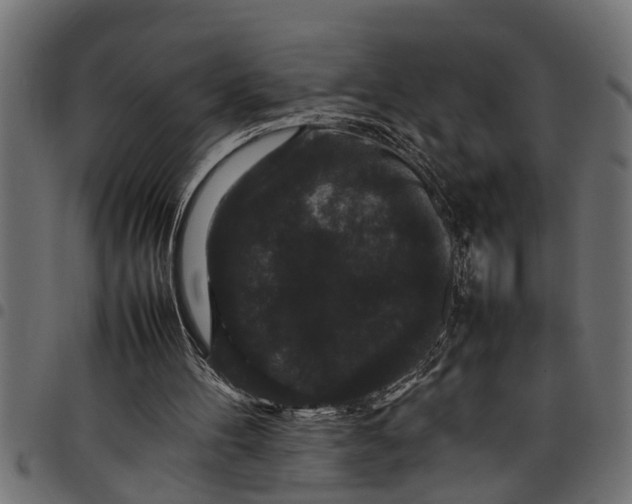 X0000097800100200803281044