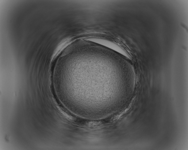 X0000097800101200803281044