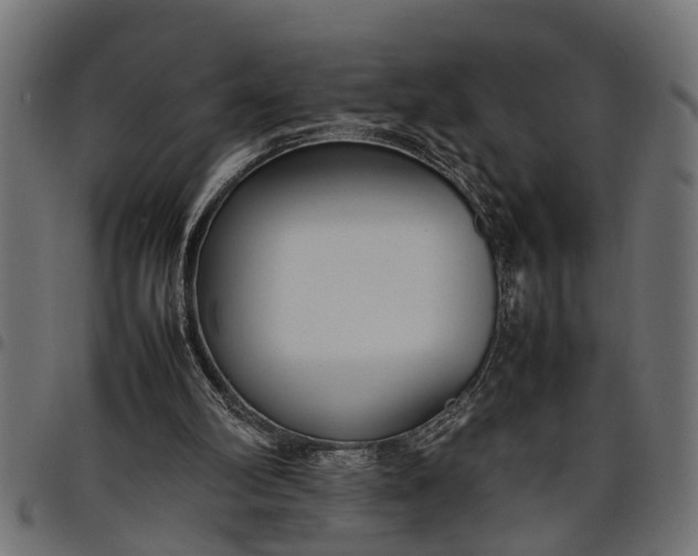 X0000097800102200803281044