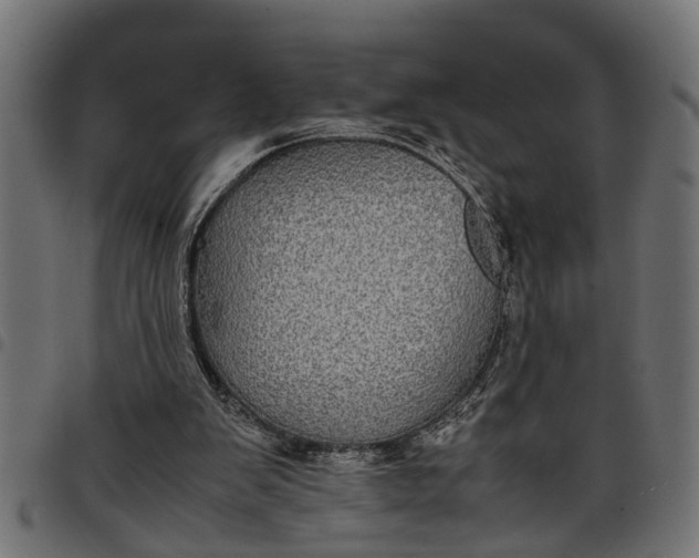 X0000097800103200803281044