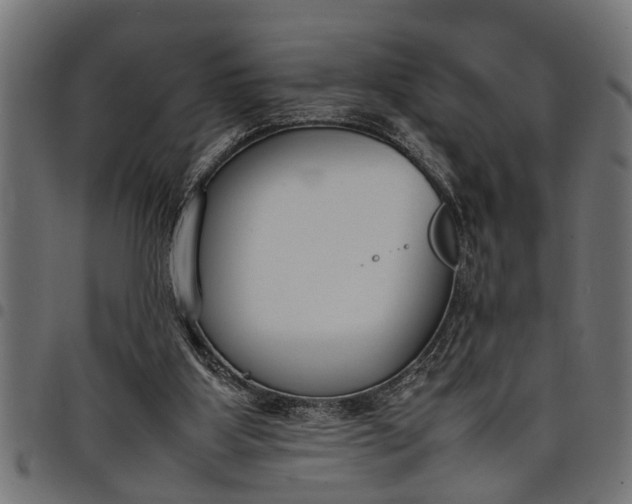 X0000097800107200803281044