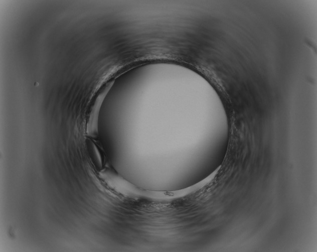 X0000097800108200803281044