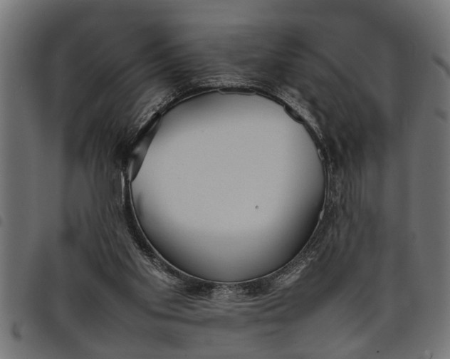 X0000097800109200803281044