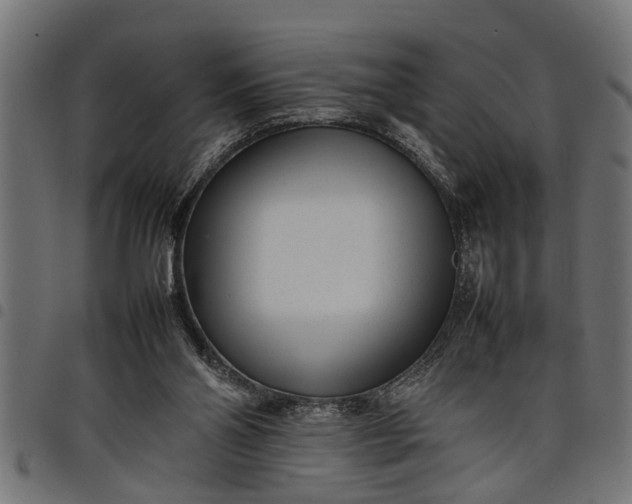 X0000097800110200803281044