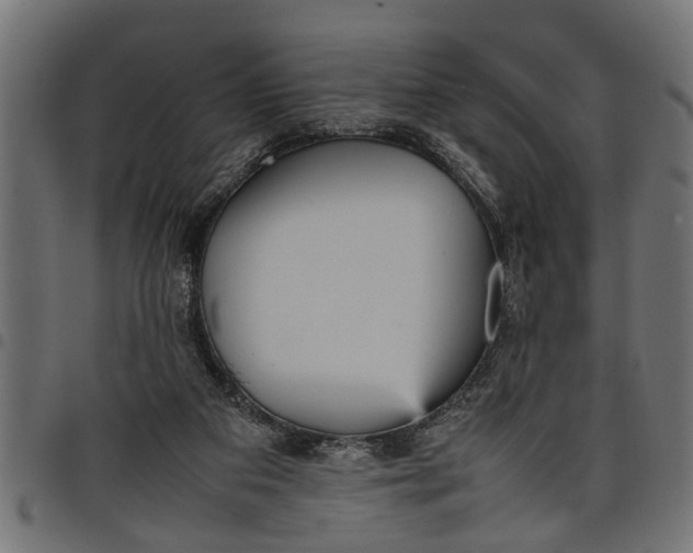 X0000097800113200803281044