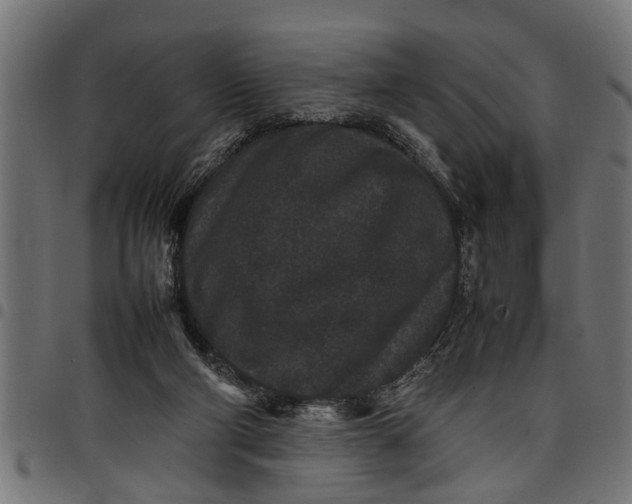 X0000097800114200803281044