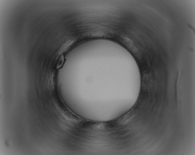 X0000097800116200803281044