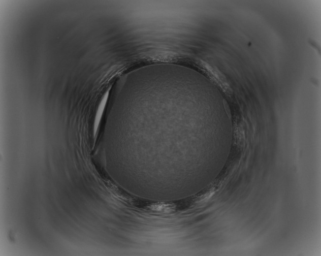 X0000097800117200803281044