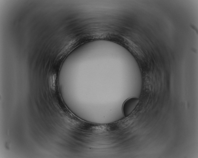 X0000097800118200803281044