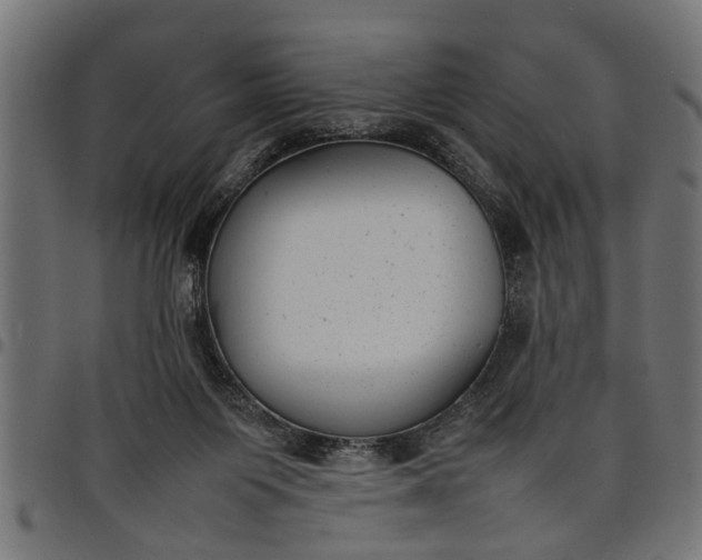 X0000097800119200803281044