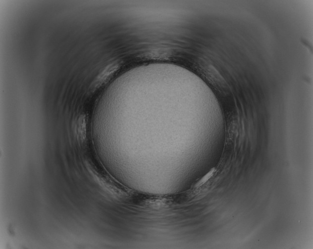 X0000097800120200803281044