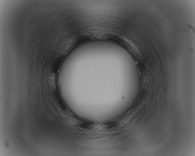 X0000097800121200803281044