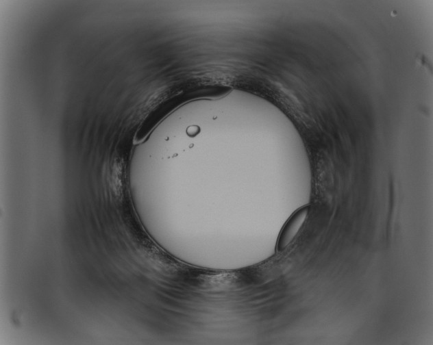 X0000097800122200803281044