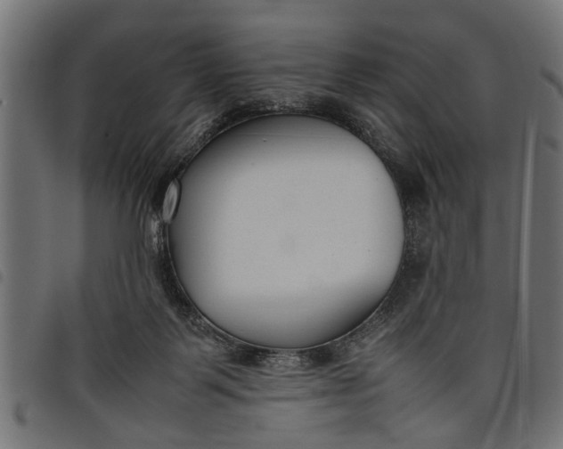 X0000097800123200803281044