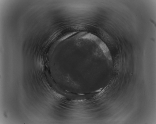 X0000097800124200803281044