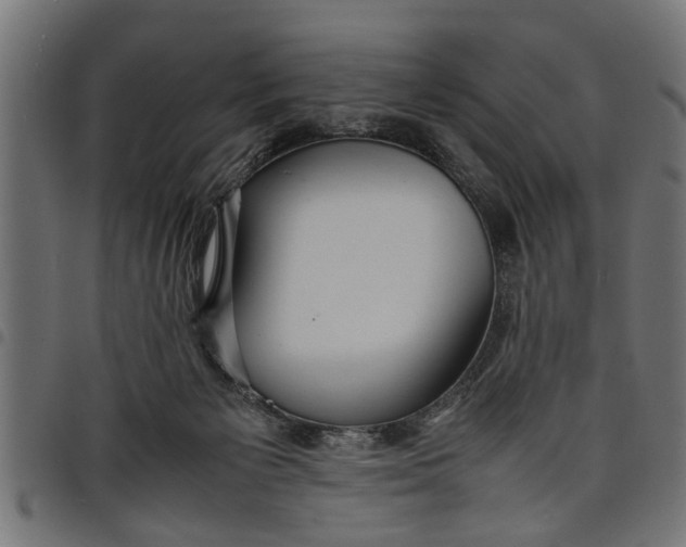 X0000097800125200803281044