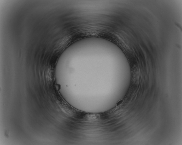 X0000097800126200803281044