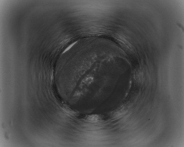 X0000097800127200803281044