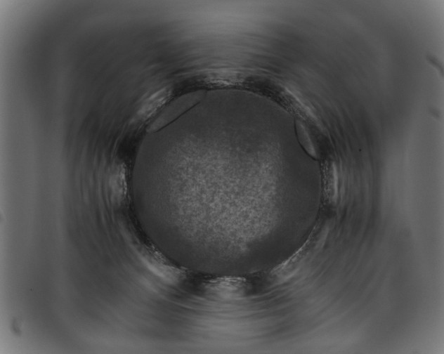 X0000097800128200803281044