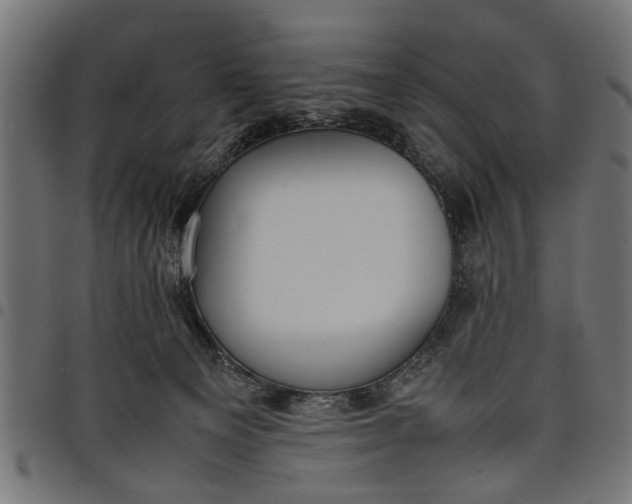 X0000097800129200803281044