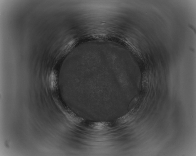 X0000097800130200803281044